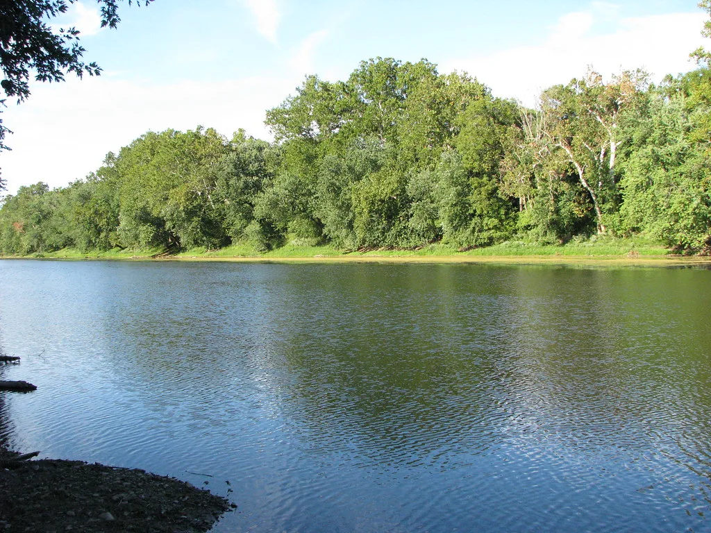 On The Banks of the Potomac II