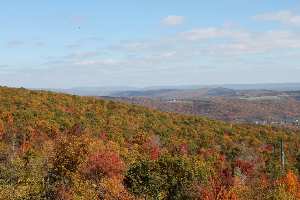 Alleghenies