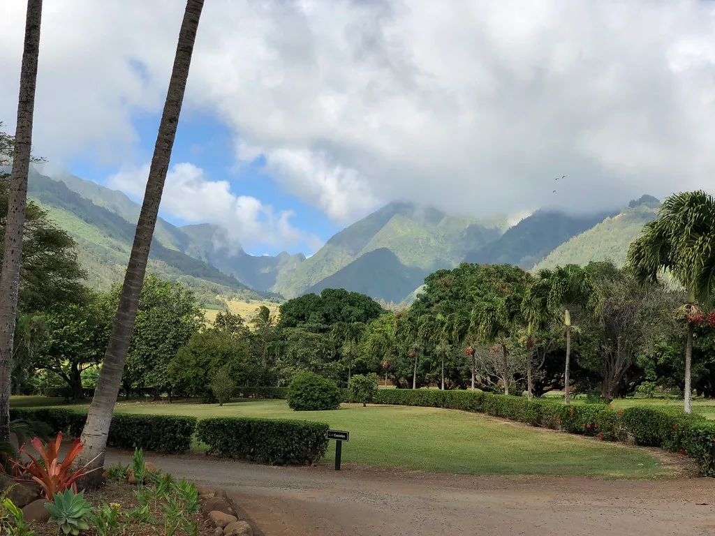 Maui Tropical Plantation
