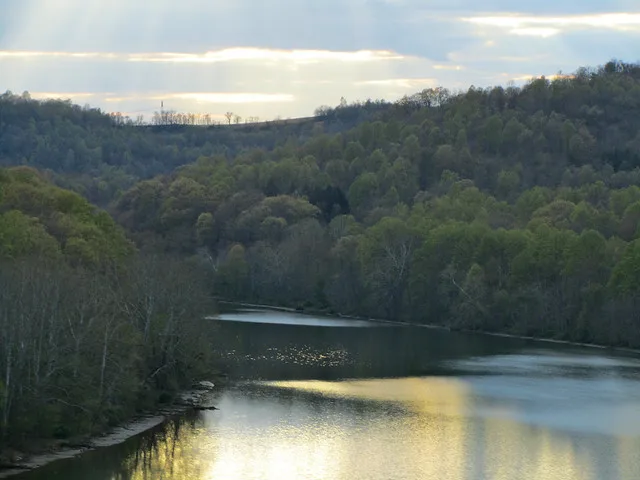 Monongahela River from I-79