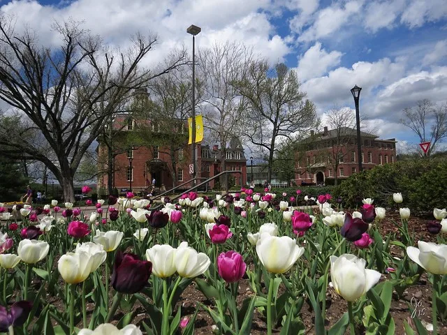 Springtime at WVU