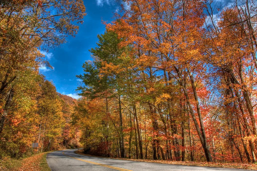 Fall on the Blue Ridge Parkway