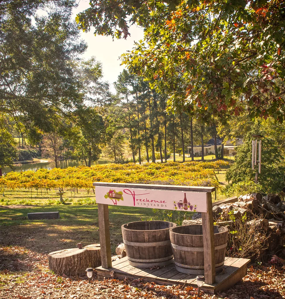 Treehouse Vineyards