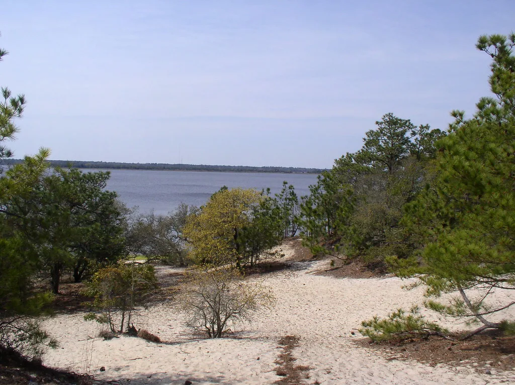View from Sugarloaf Dune