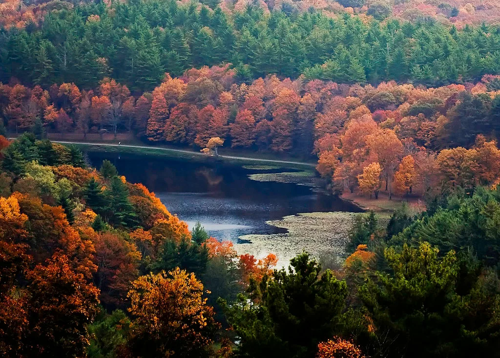 Autumn in Blowing Rock NC