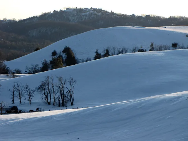 Snowy Hills