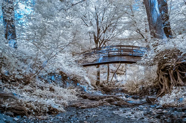 The Botanical Gardens at Asheville (Asheville, North Carolina)