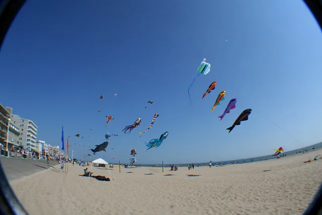 Sunfest Kite Festival
