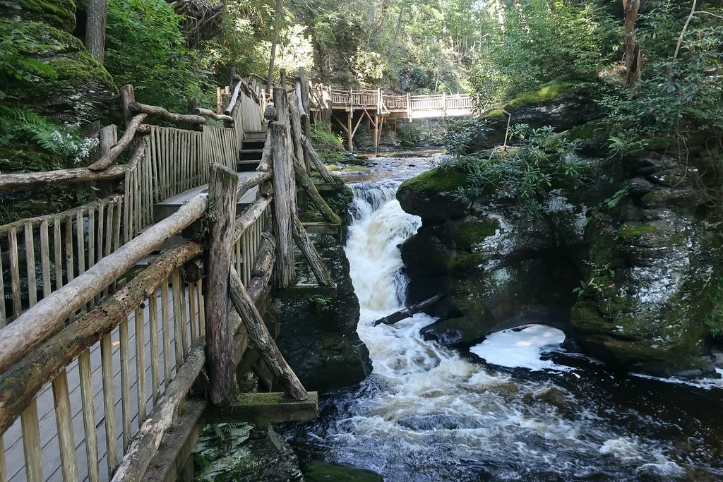Poconos - Bushkill Falls - Laurel Glen