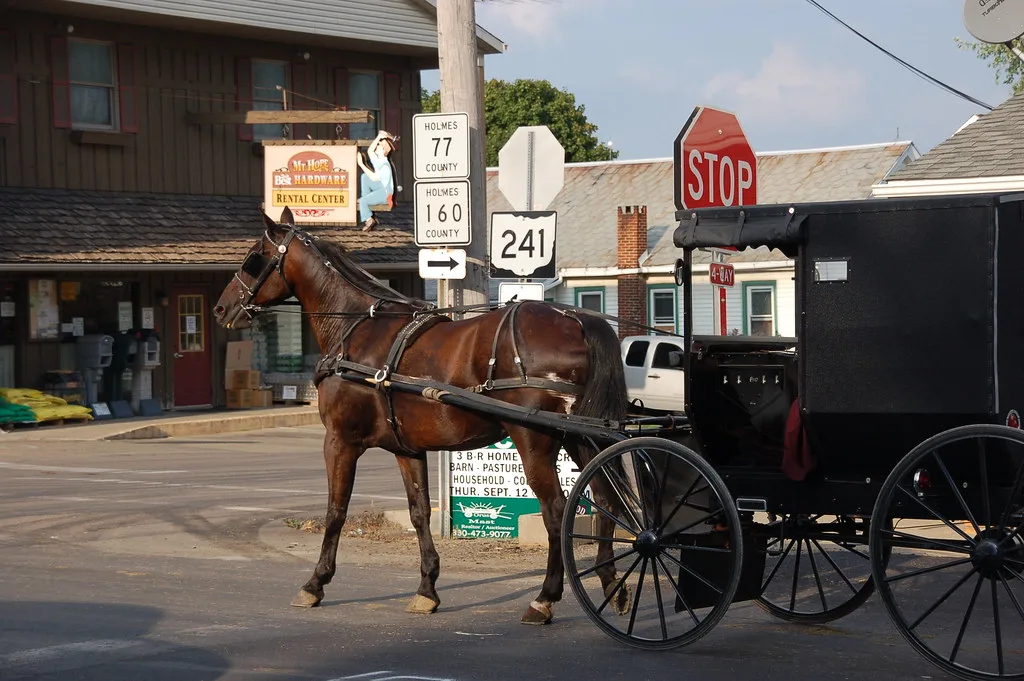 Amish Carriage