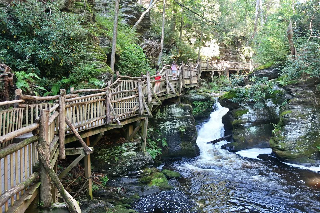 Poconos - Bushkill Falls - Laurel Glen