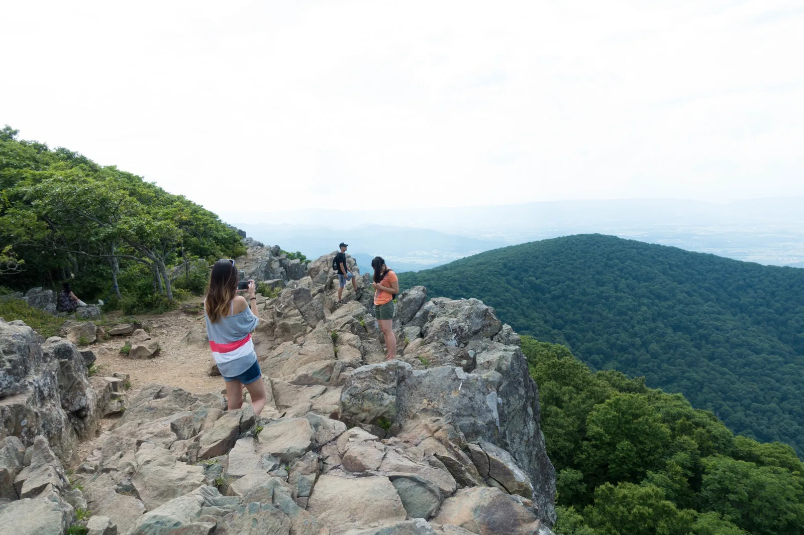 Shenandoah: Hawksbill Summit Loop Trail | KTNPBlog