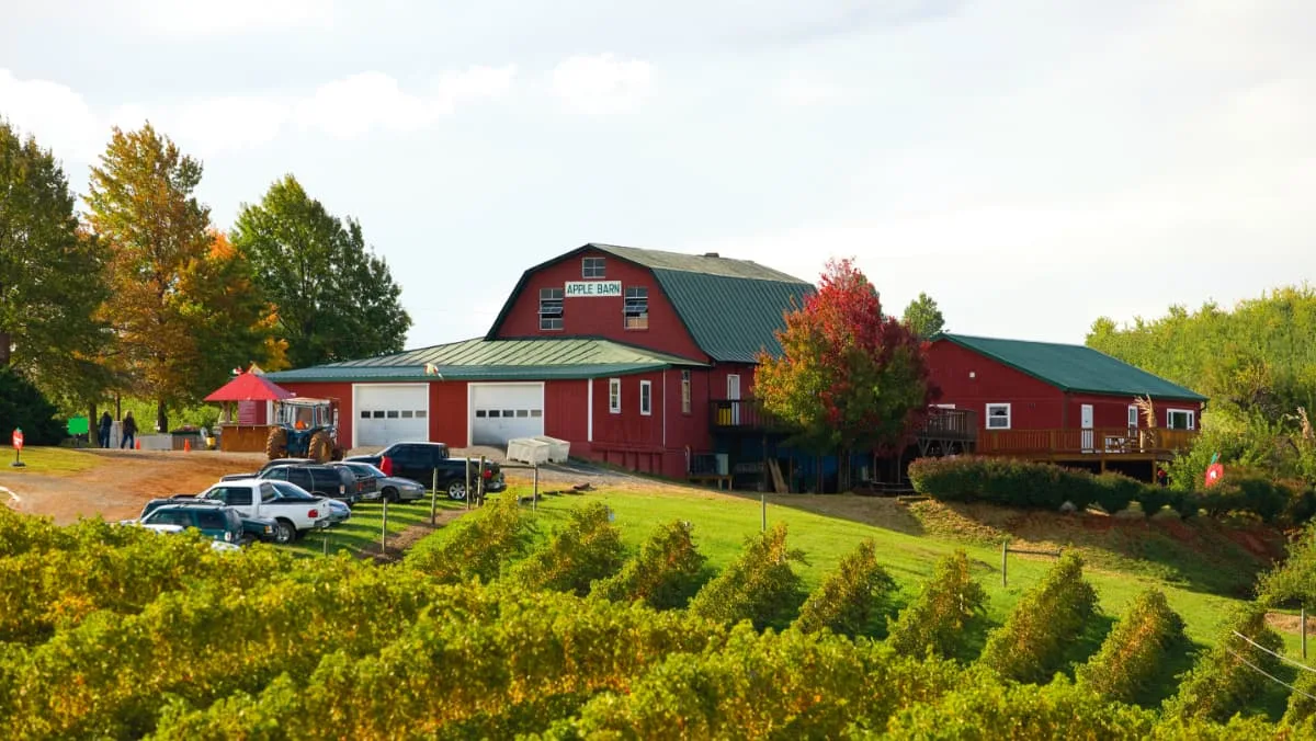 Home | Chiles Family Orchards
