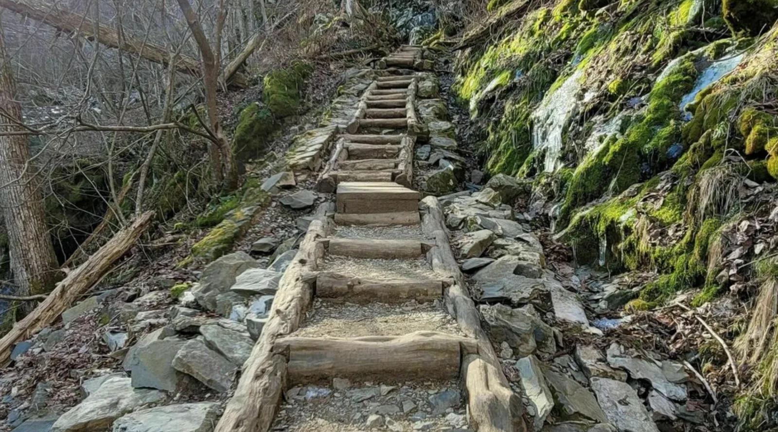 Dark Hollow Falls Trail Is A 1.5-Mile Waterfall Hike In Virginia