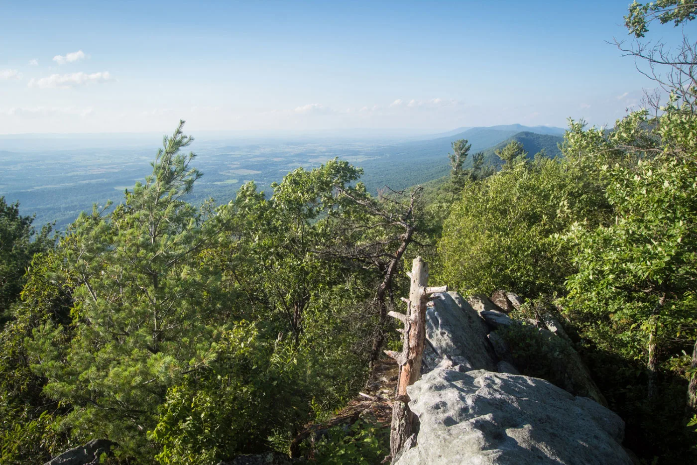 Hiking Fridley Gap Loop in George Washington National Forest, Virginia