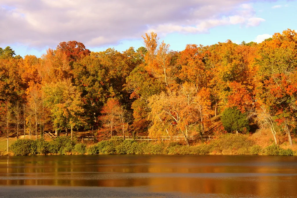 Chickasaw State Park in Autumn