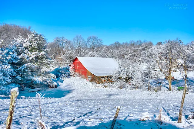 January ’22 Snow - Cookeville, Tennessee