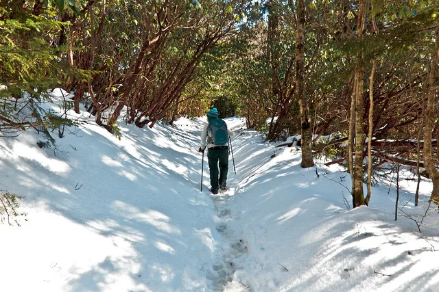 Great Smoky Mountains National Park - Rainbow Falls Trail