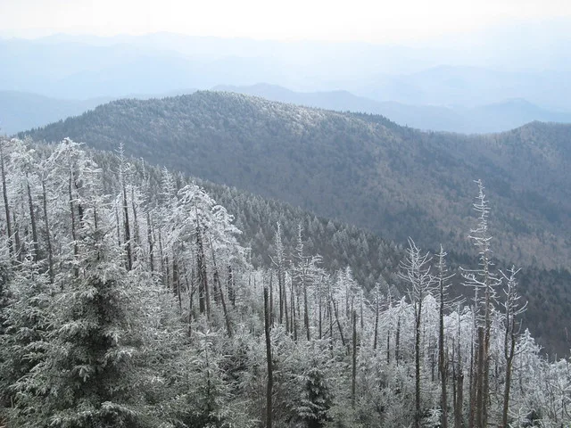 Clingmans Dome - Great Smoky Mountains National Park - North Carolina