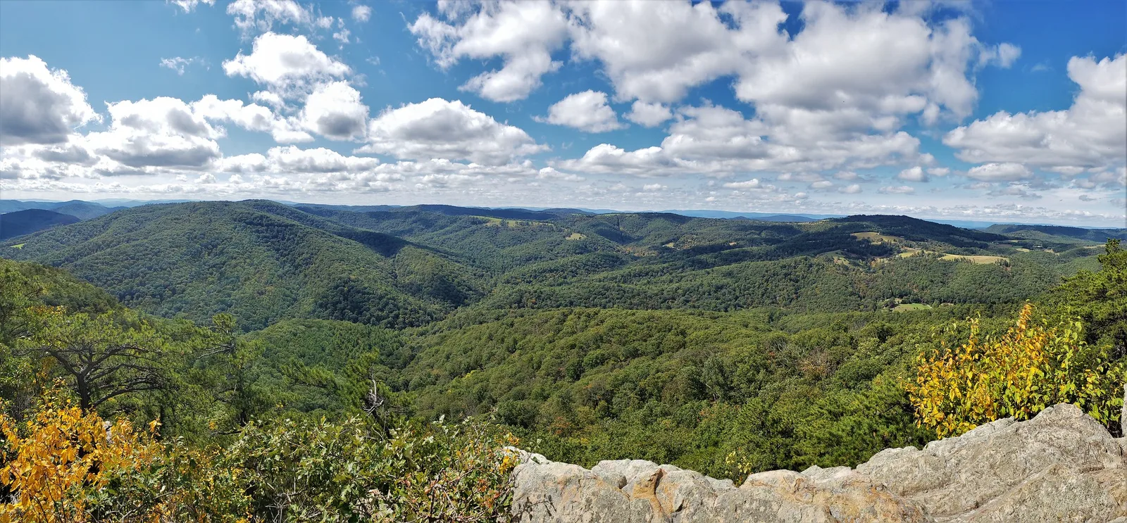 Shenandoah Valley