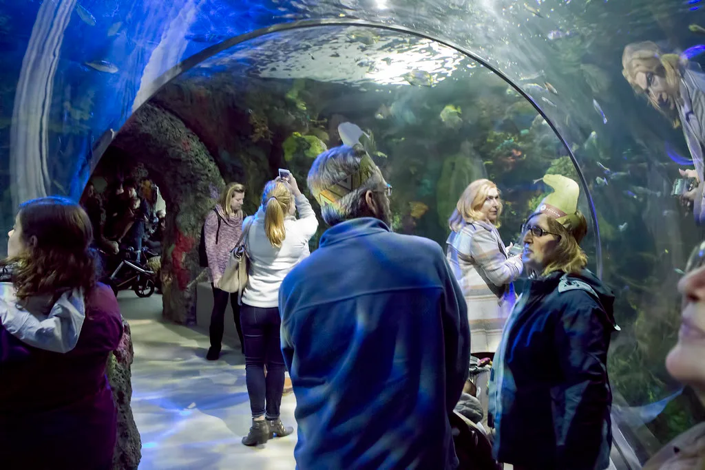 Virginia Aquarium & Marine Science Center