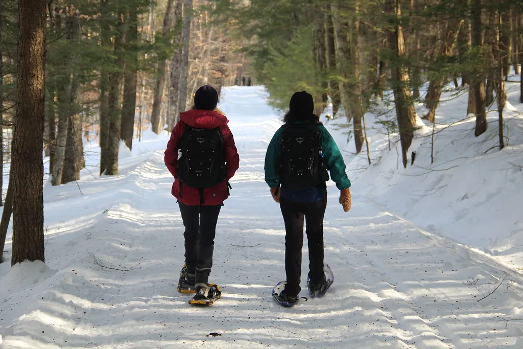 Winter Hikers Snowshoe 2018