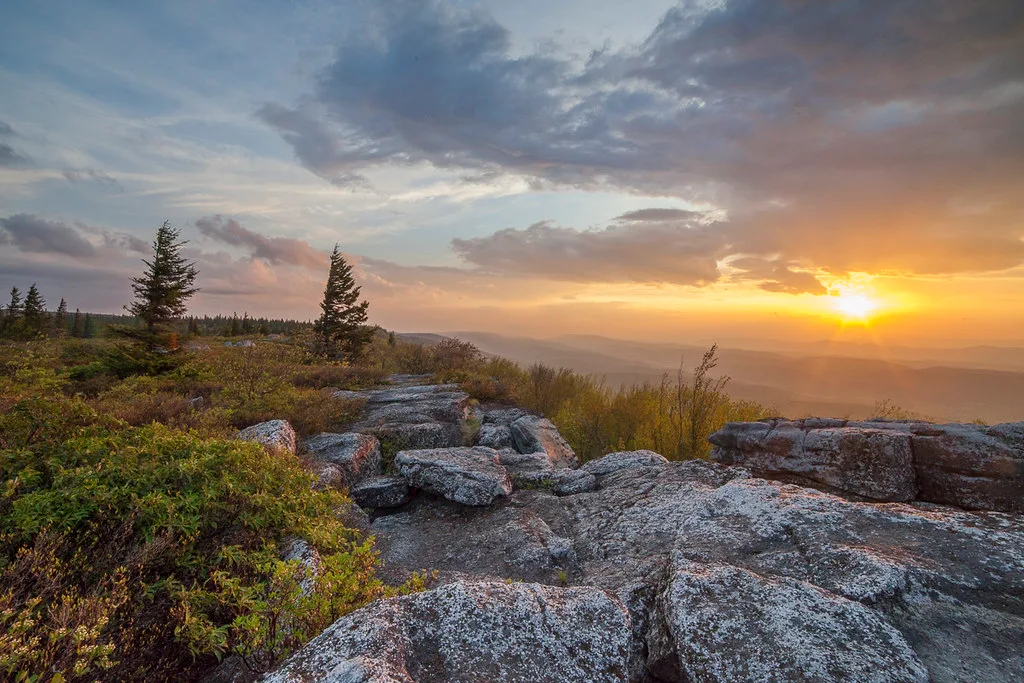 Dolly Sods Sunrise
