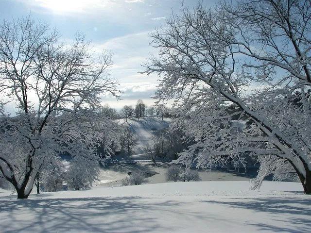 Oglebay Park Schenk Lake Snow