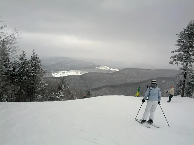 Snowshoe