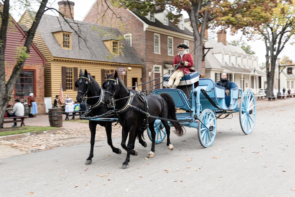 Horse Carriage Ride, East Duke of Gloucester Street, Colonial Williamsburg, Williamsburg, Virginia, United States