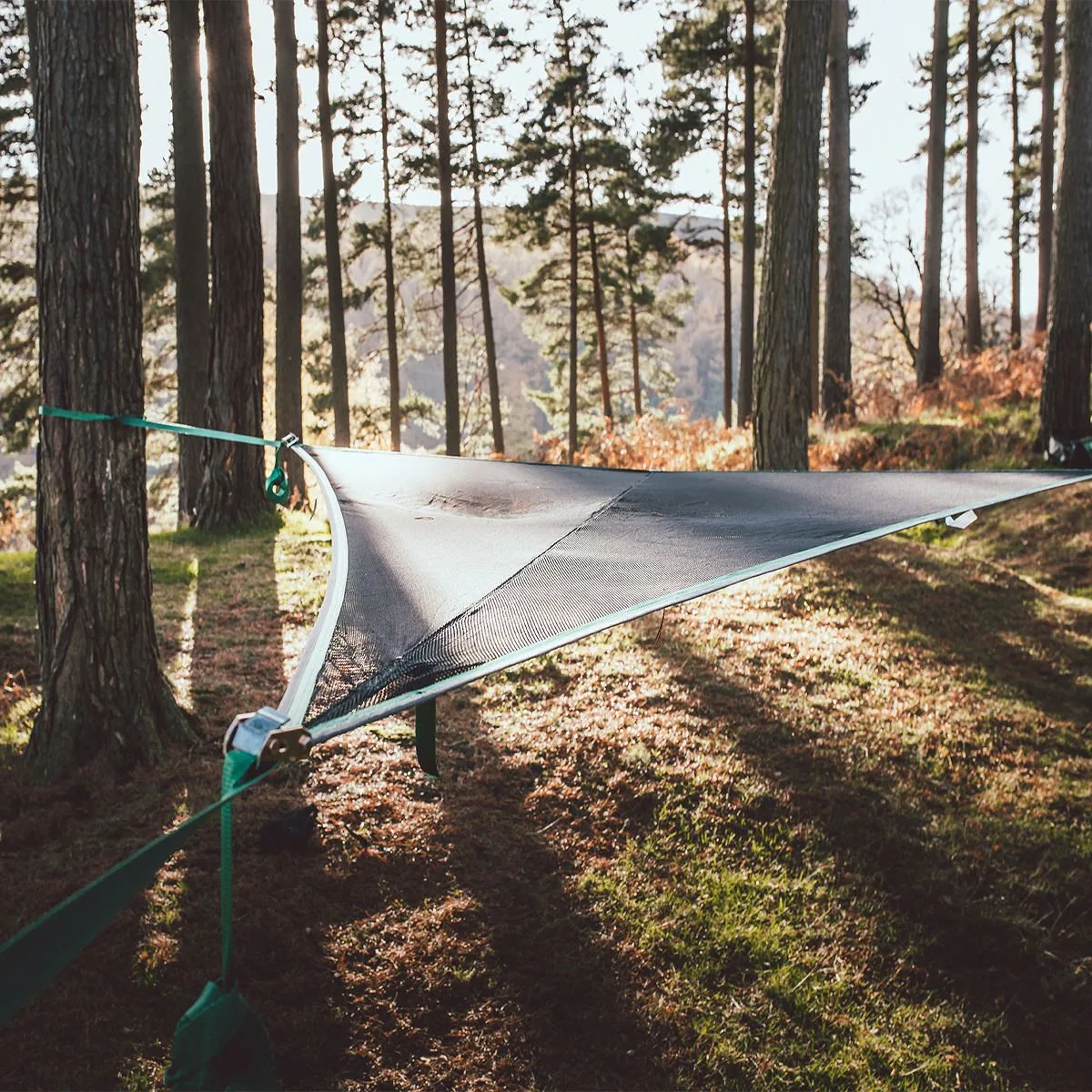 tentsile tent