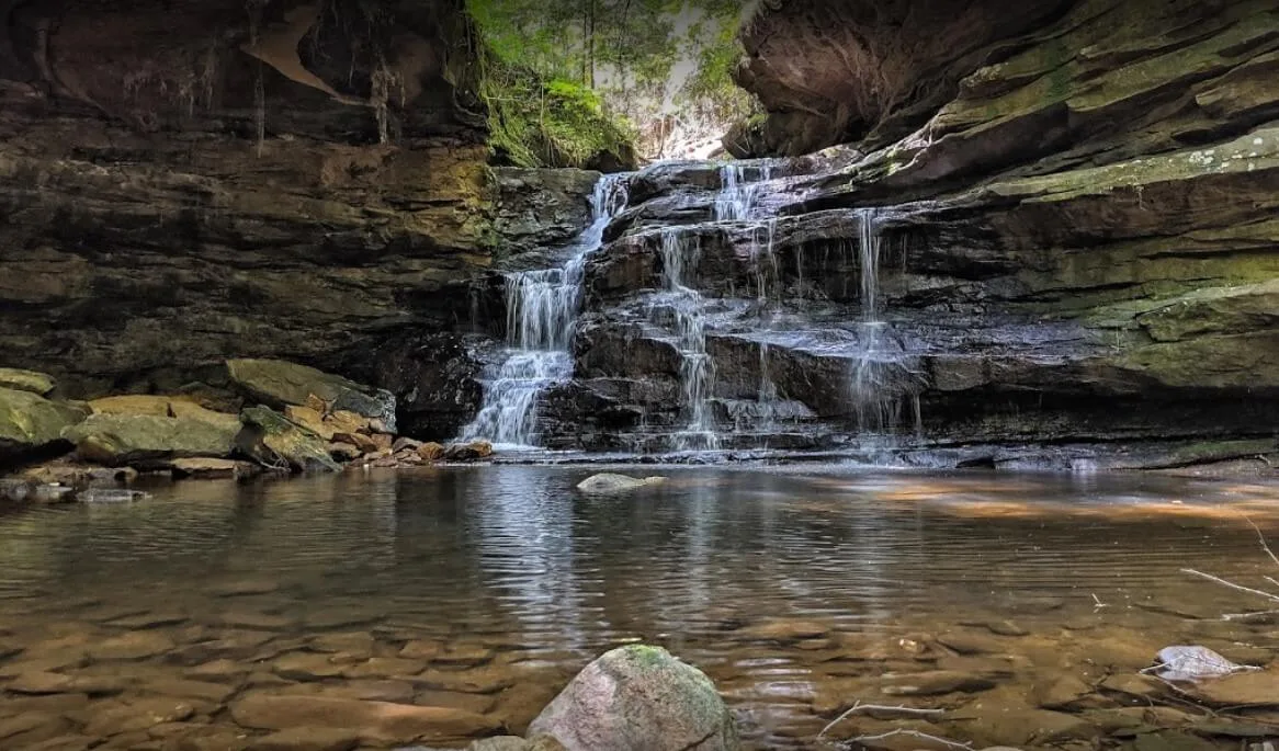 Bankhead National Forest
