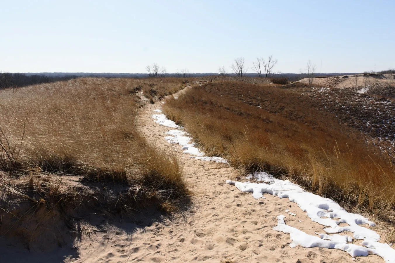 Indiana Dunes State Park