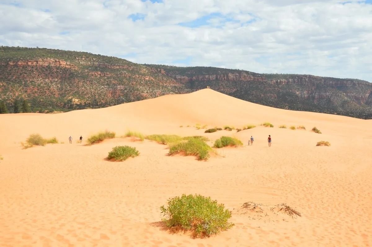 Coral Pink Sand Dunes State Park
