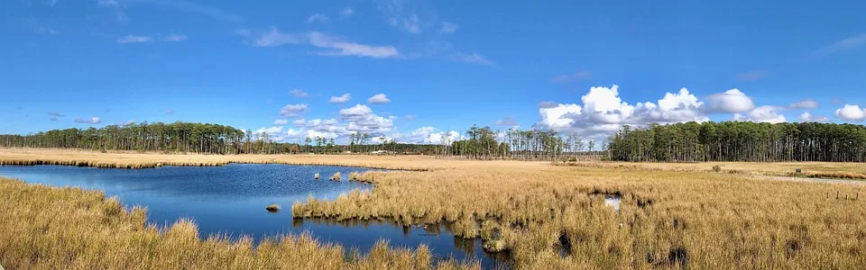 Blackwater National Wildlife Refuge