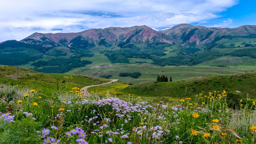 Snodgrass Mountain, Crested Butte, Colorado