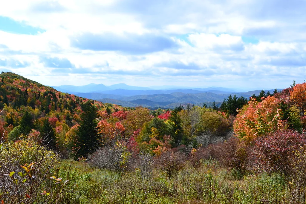 GHSP Fall