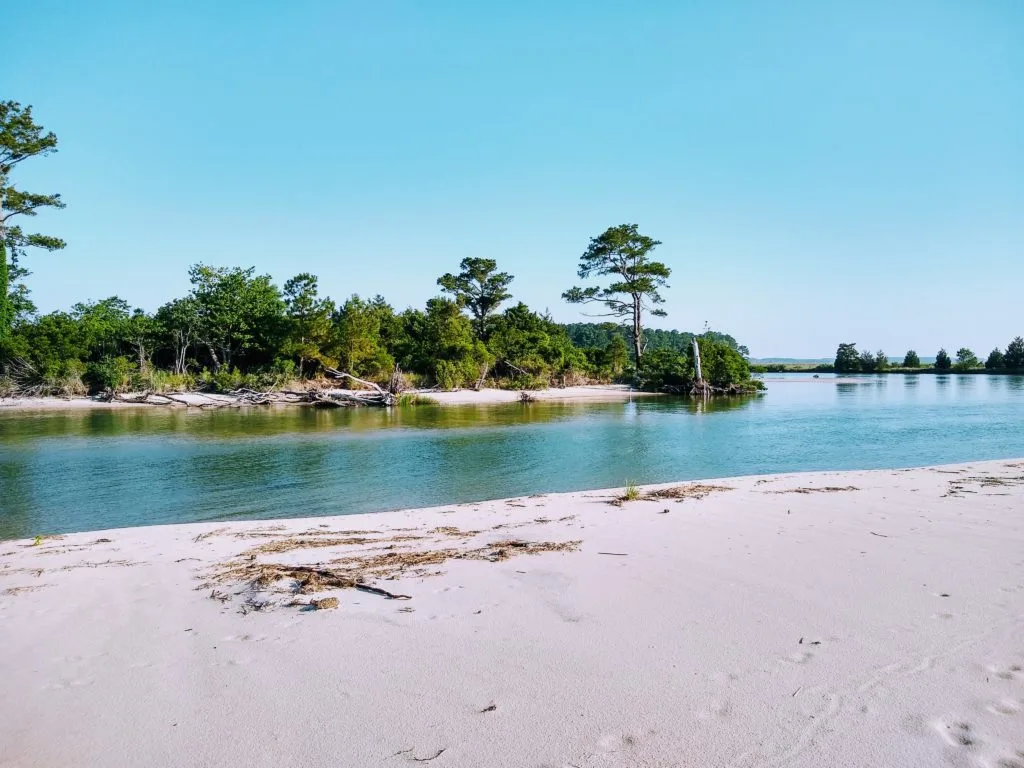 Paddling Horn Harbor to Bethel Beach Natural Area Preserve: What You Need To Know - Virginia Water Trails