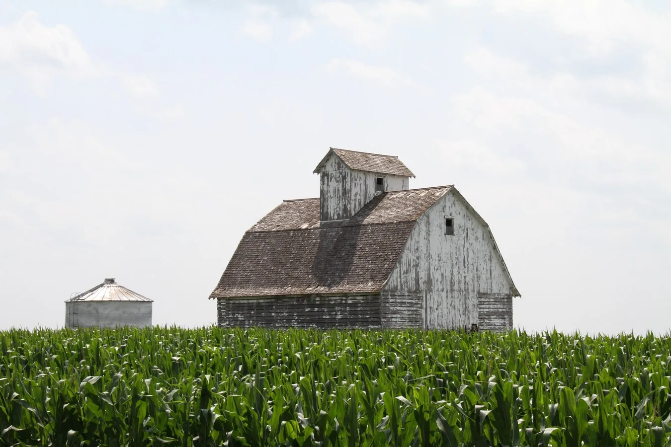 farm iowa