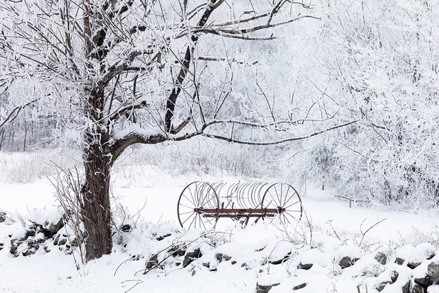 Snowfall in Nelson County, Va.
