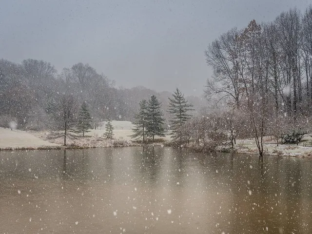 Meadowlark Botanic Gardens in November